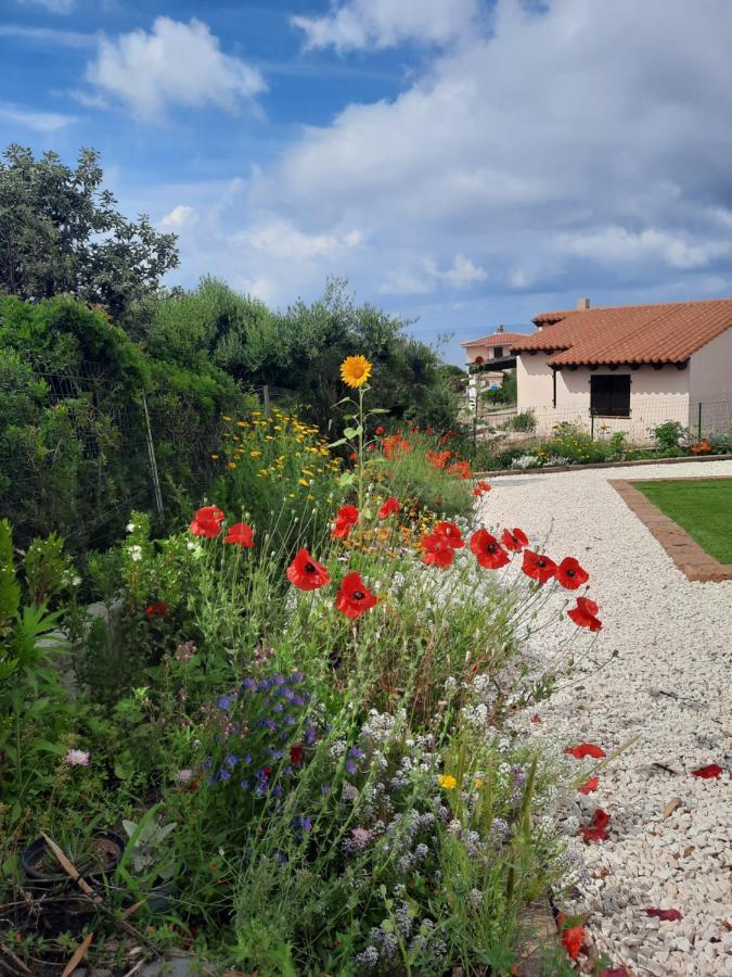 Villa La Torre Levante 토레 데이 코르사리 외부 사진
